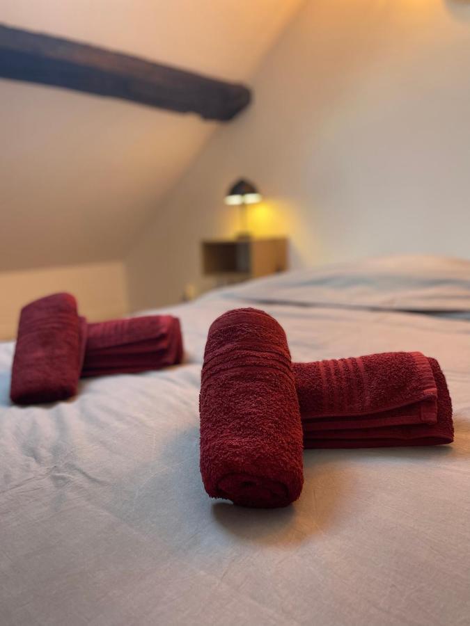 Les Cieux De Bourgogne Apartment Дижон Екстериор снимка