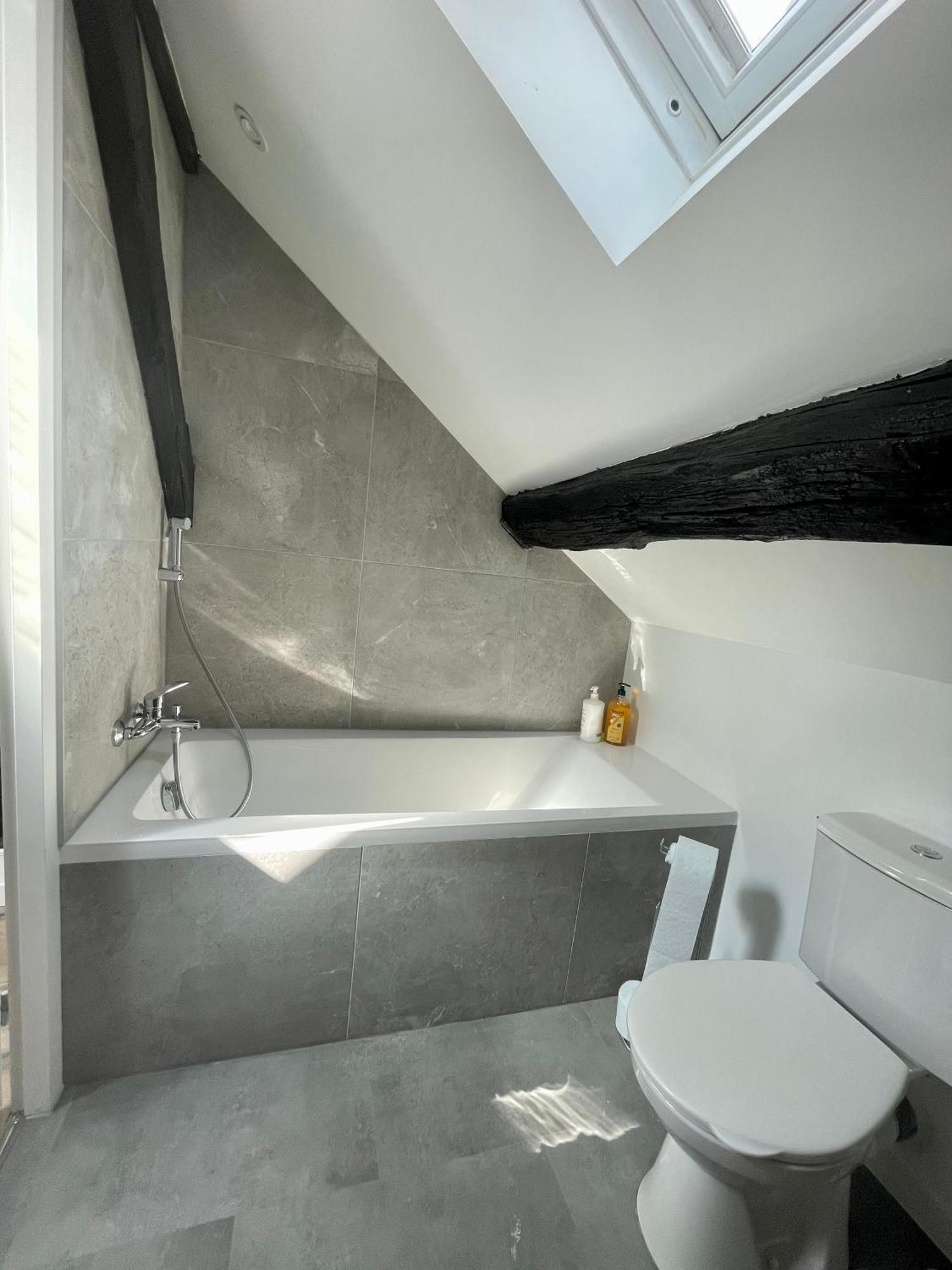 Les Cieux De Bourgogne Apartment Дижон Екстериор снимка